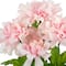 Light Pink Dahlia Bush by Ashland&#xAE;